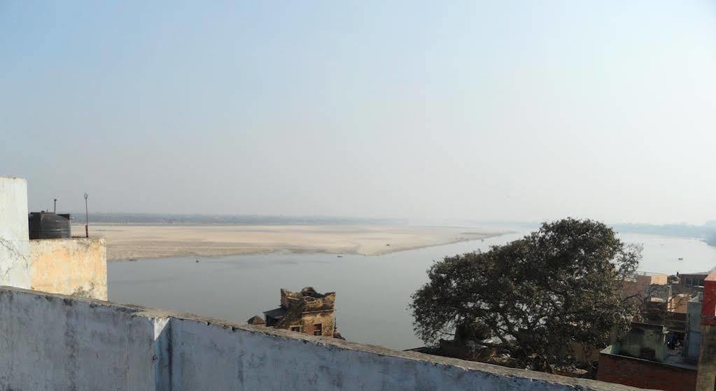 Marigold * Varanasi